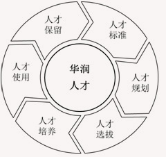 人才治理